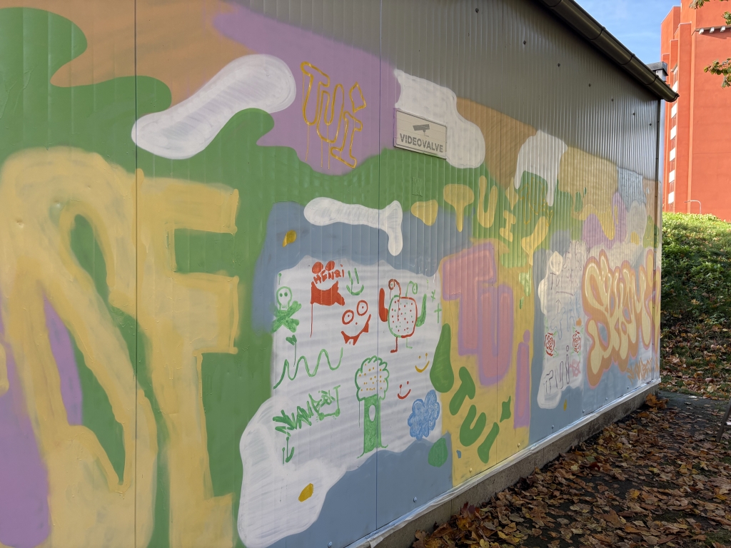 Noorte grafitiprojekt 3.jpeg